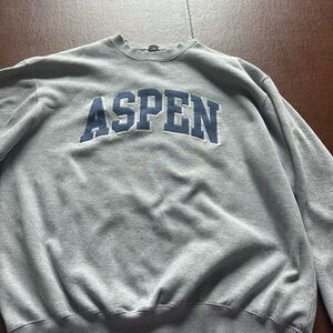 Brandy Melville Aspen sweatshirt